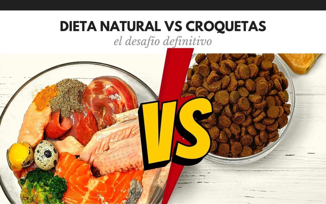 Croquetas vs Comida natural
