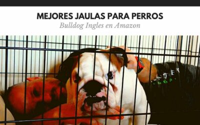 Bulldog Ingles 41 Jaulas para perros: mejores guaridas de tu bulldog