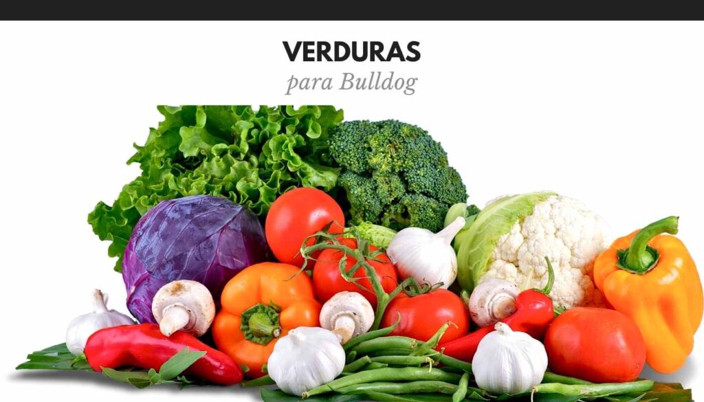 Verduras para bulldog