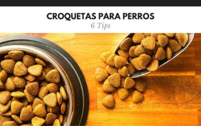 Bulldog Ingles 56 Croquetas para perros