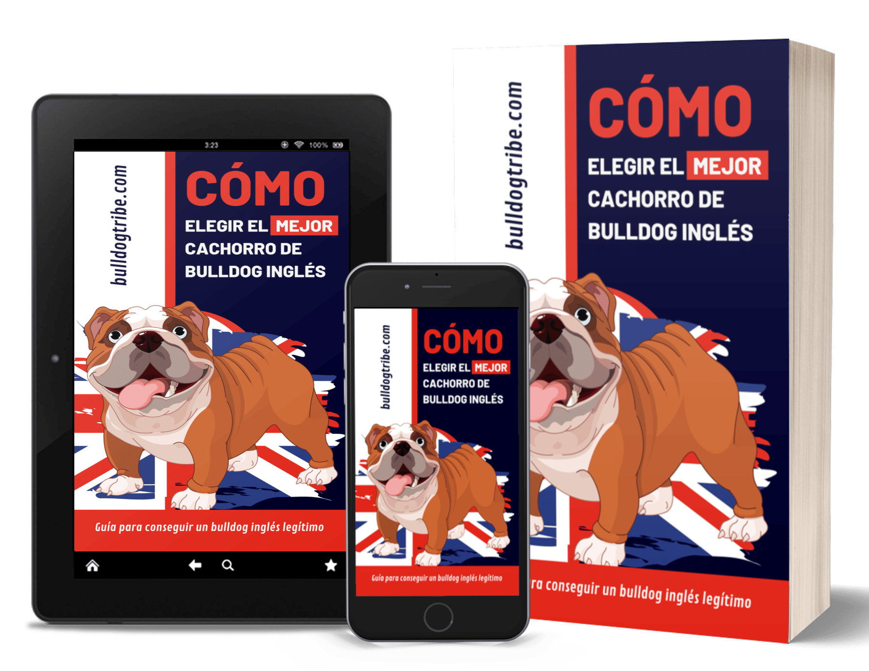 COVER - CÓMO ELEGIR EL MEJOR CACHORRO DE BULLDOG INGLÉS COVER - CÓMO ELEGIR EL MEJOR CACHORRO DE BULLDOG INGLÉS