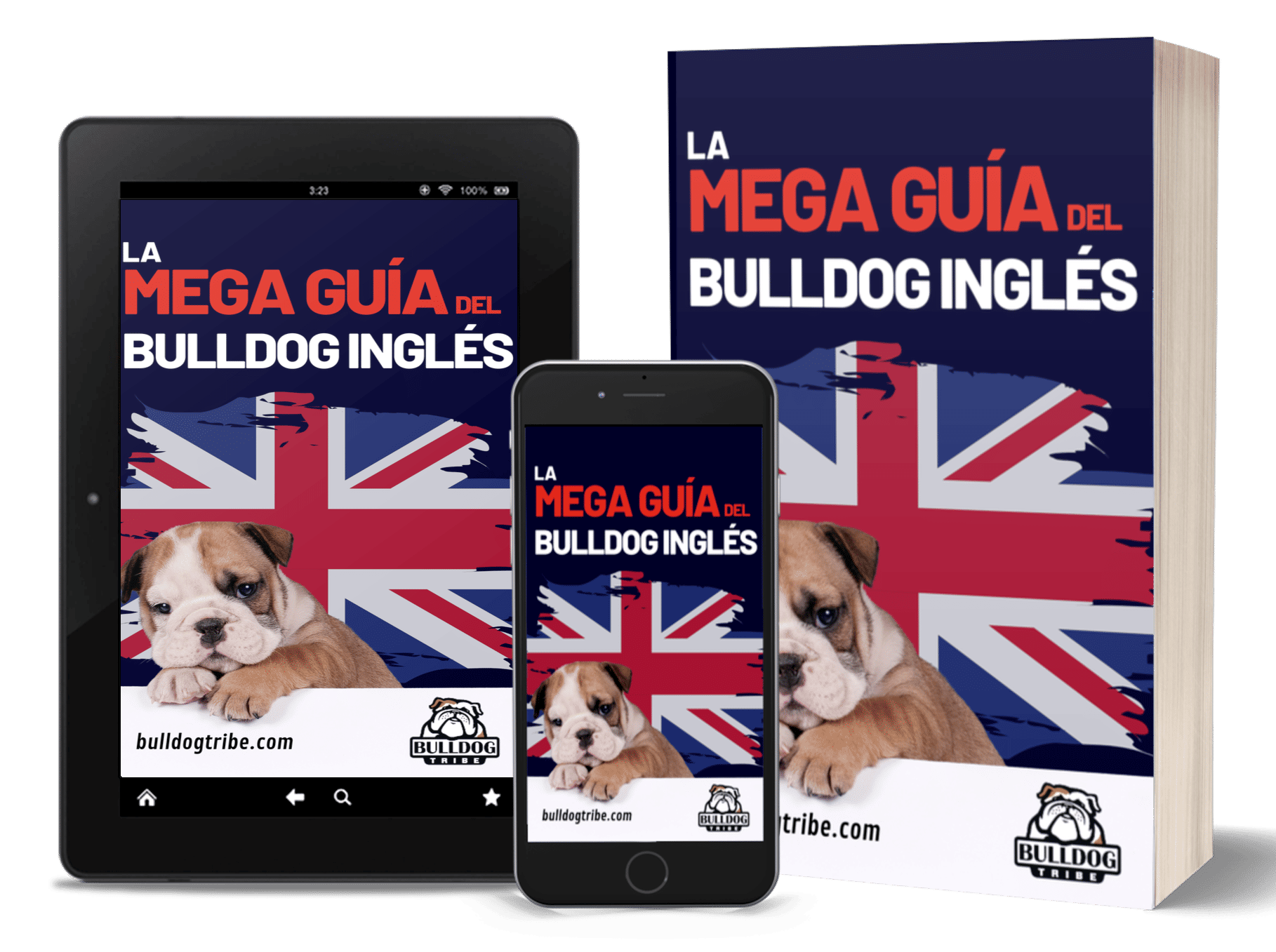 Bulldog Ingles 13 COVER - LA MEGA GUÍA DEL BULLDOG INGLÉS