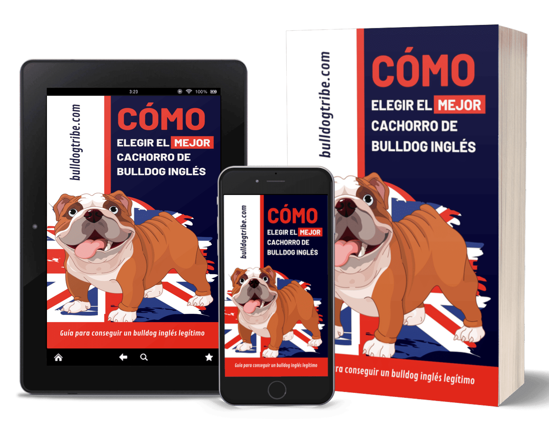 CÓMO ELEGIR EL MEJOR CACHORRO DE BULLDOG INGLÉS